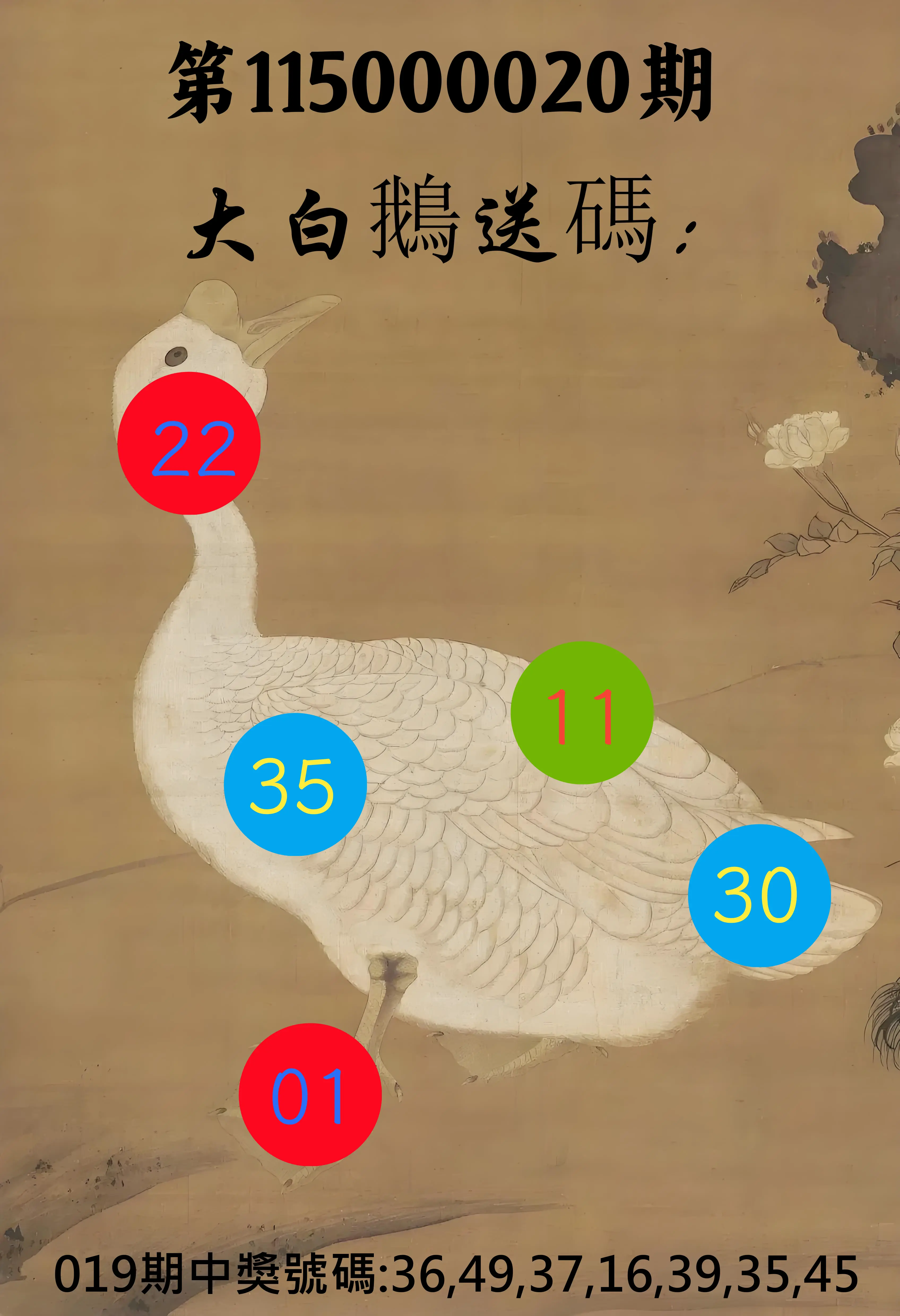 大樂透第115000020期(02/19)大白鵝送碼