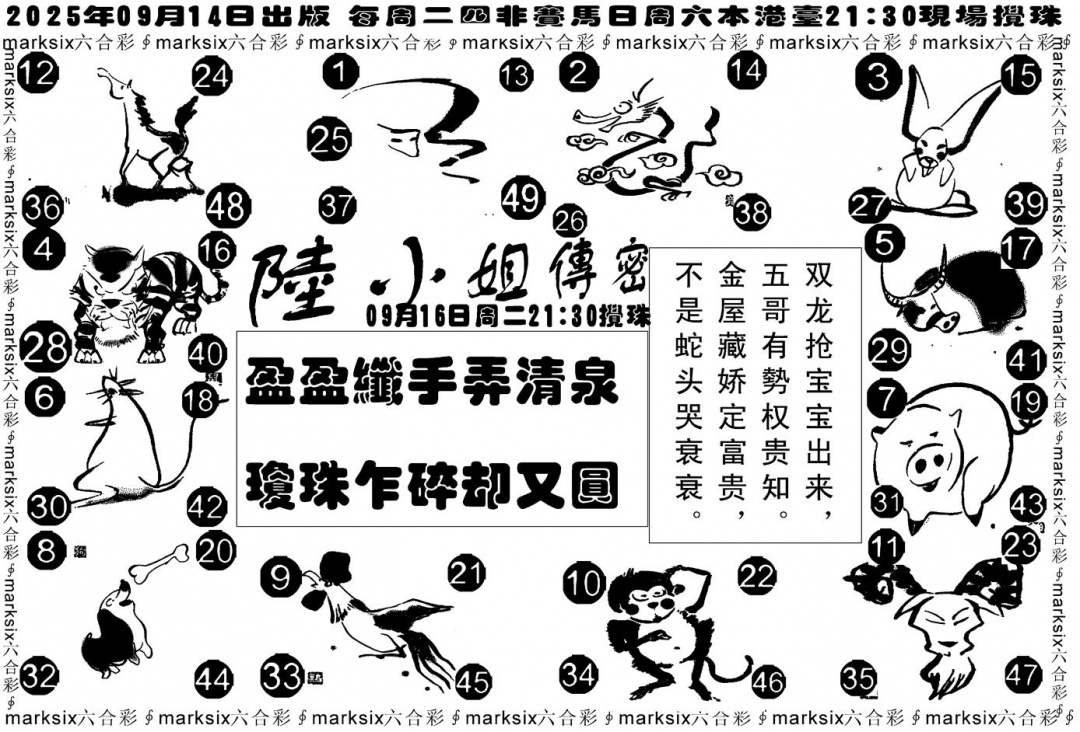 六合彩101期陆小姐传密B(黑白)