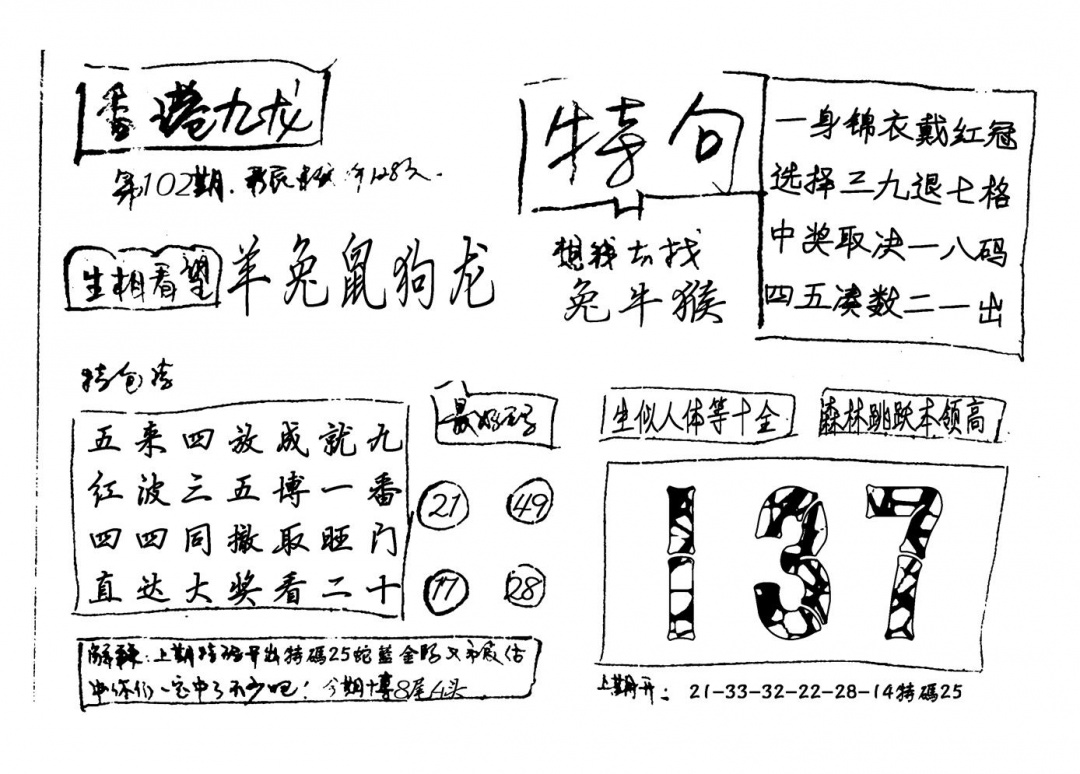 六合彩102期香港九龙(新图)手写(黑白)