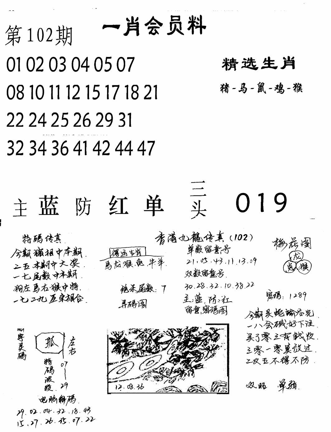 六合彩102期一肖会员料(黑白)
