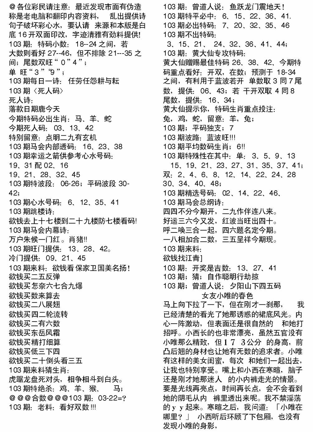 六合彩103期当日电脑综合资料B(黑白)