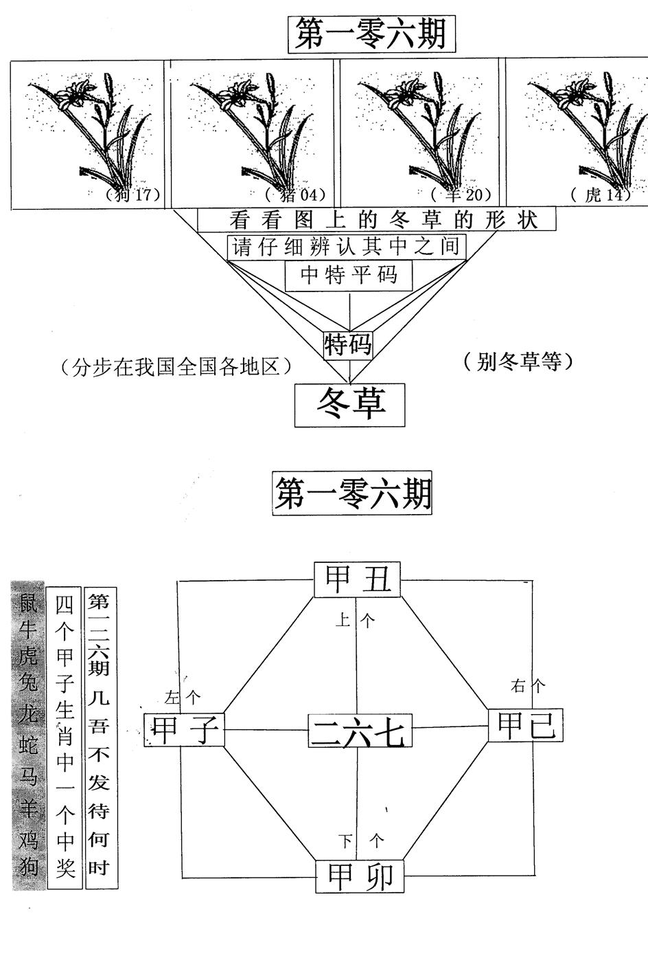 六合彩106期每期一花草(黑白)