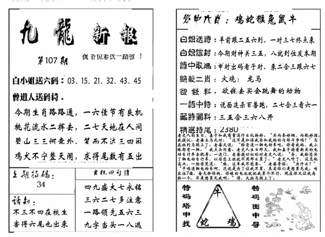 六合彩107期九龙新报(生肖版)(黑白)