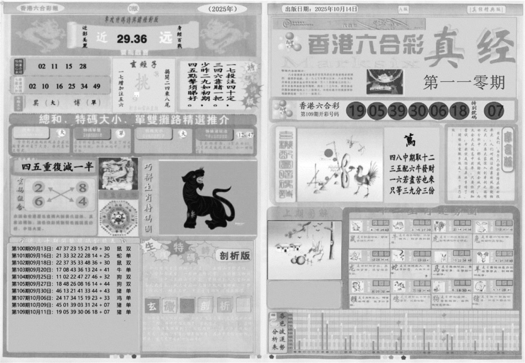 六合彩110期真经A(黑白)