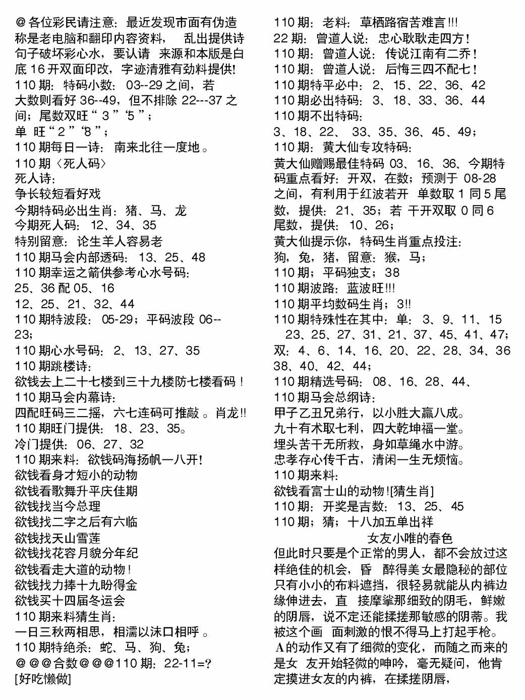 六合彩110期当日电脑综合资料B(黑白)