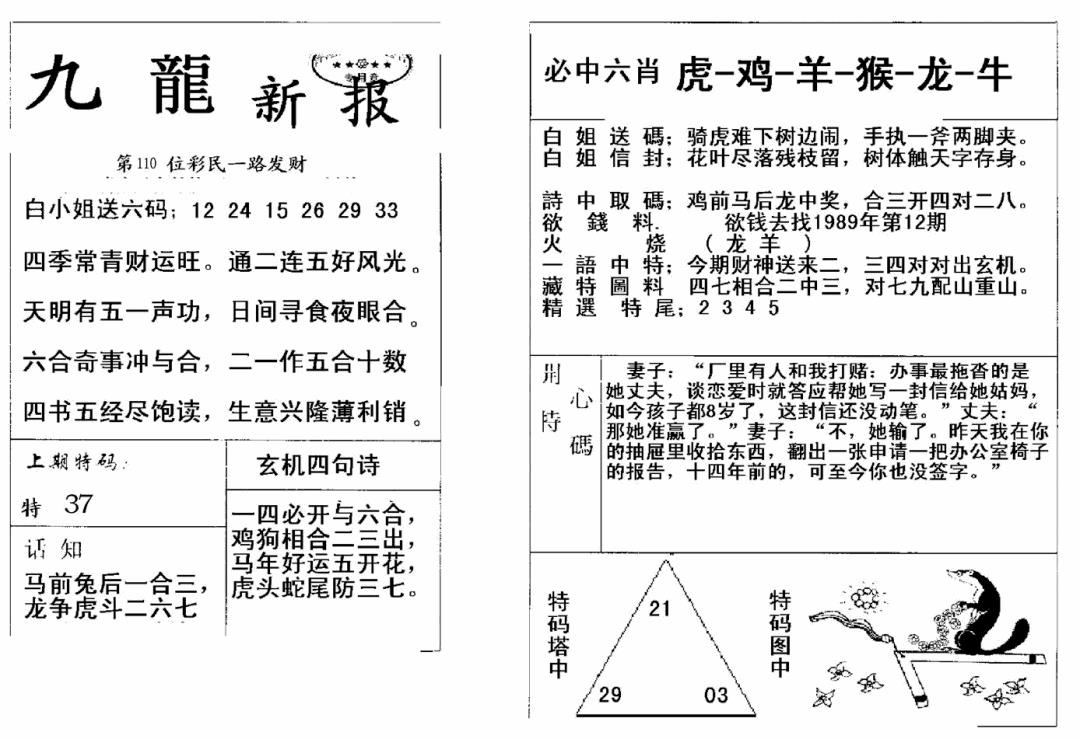 六合彩110期九龙新报(新)(黑白)