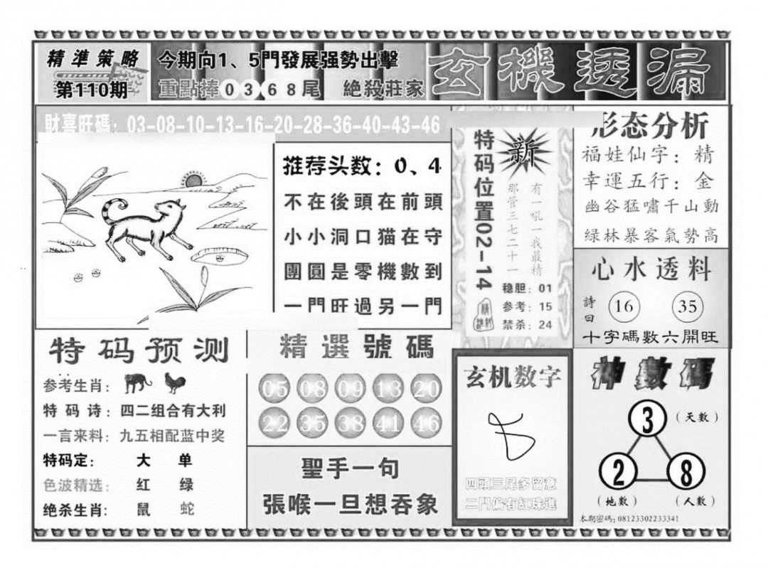 六合彩110期玄机透漏（新图）(黑白)