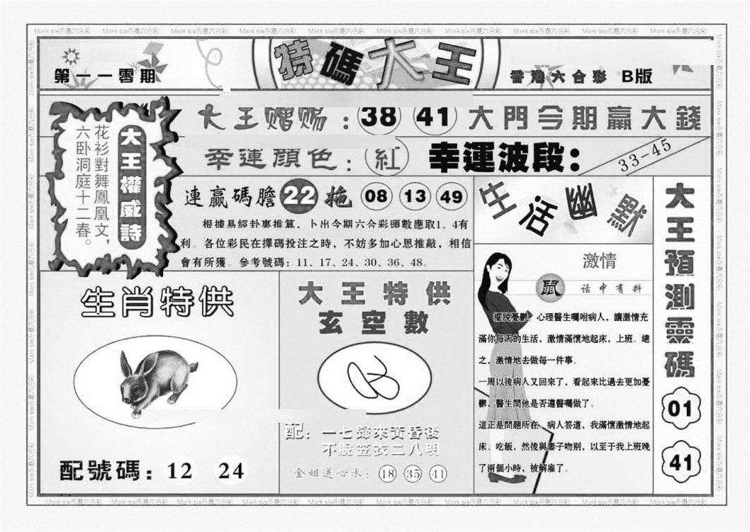 六合彩110期特码大王B（新图）(黑白)