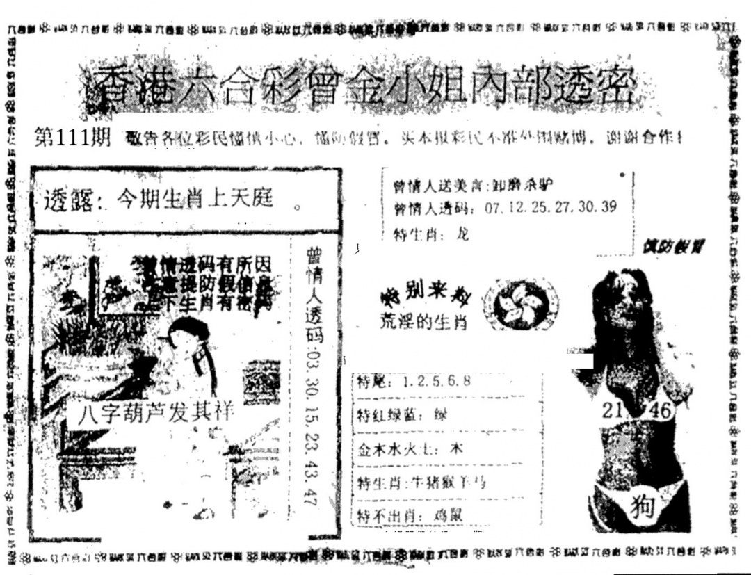 六合彩111期曾金小姐A(黑白)