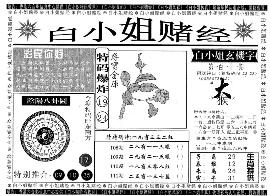 六合彩111期白姐赌经(黑白)