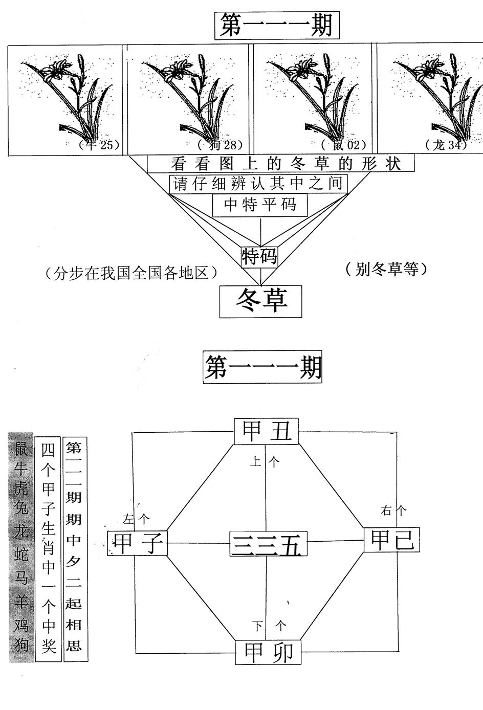六合彩111期每期一花草(黑白)