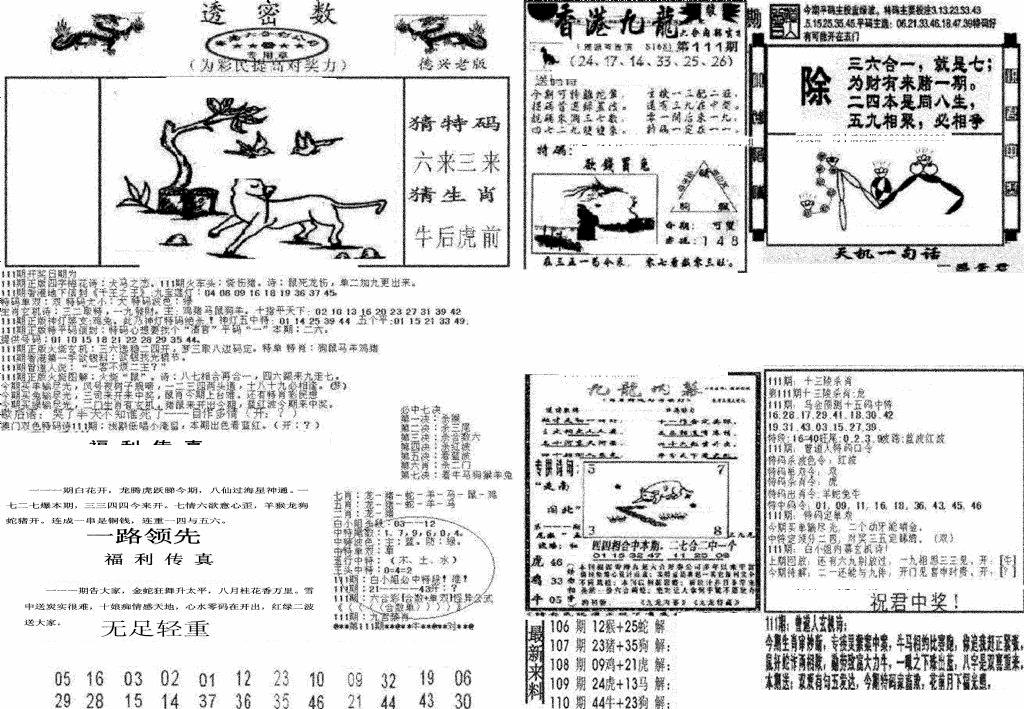 六合彩111期新透密数A(新)(黑白)