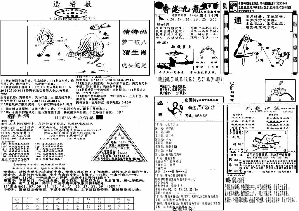 六合彩111期新透密数B(新)(黑白)