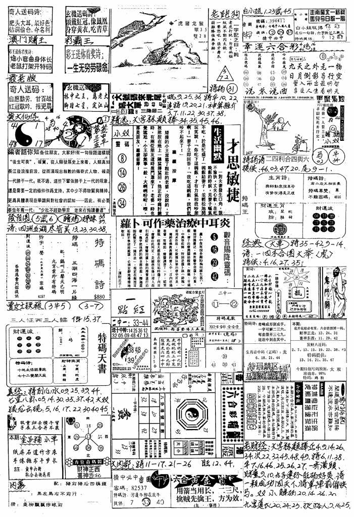 六合彩113期新版手写综合资料B(黑白)