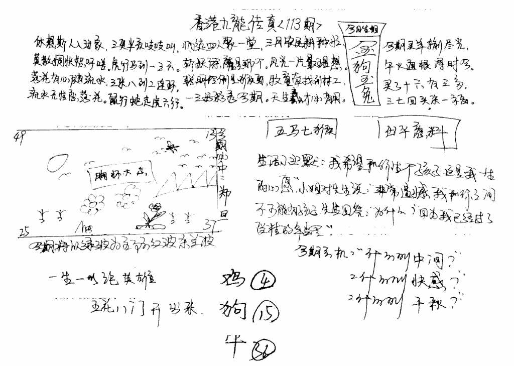 六合彩113期正版手写九龙(黑白)