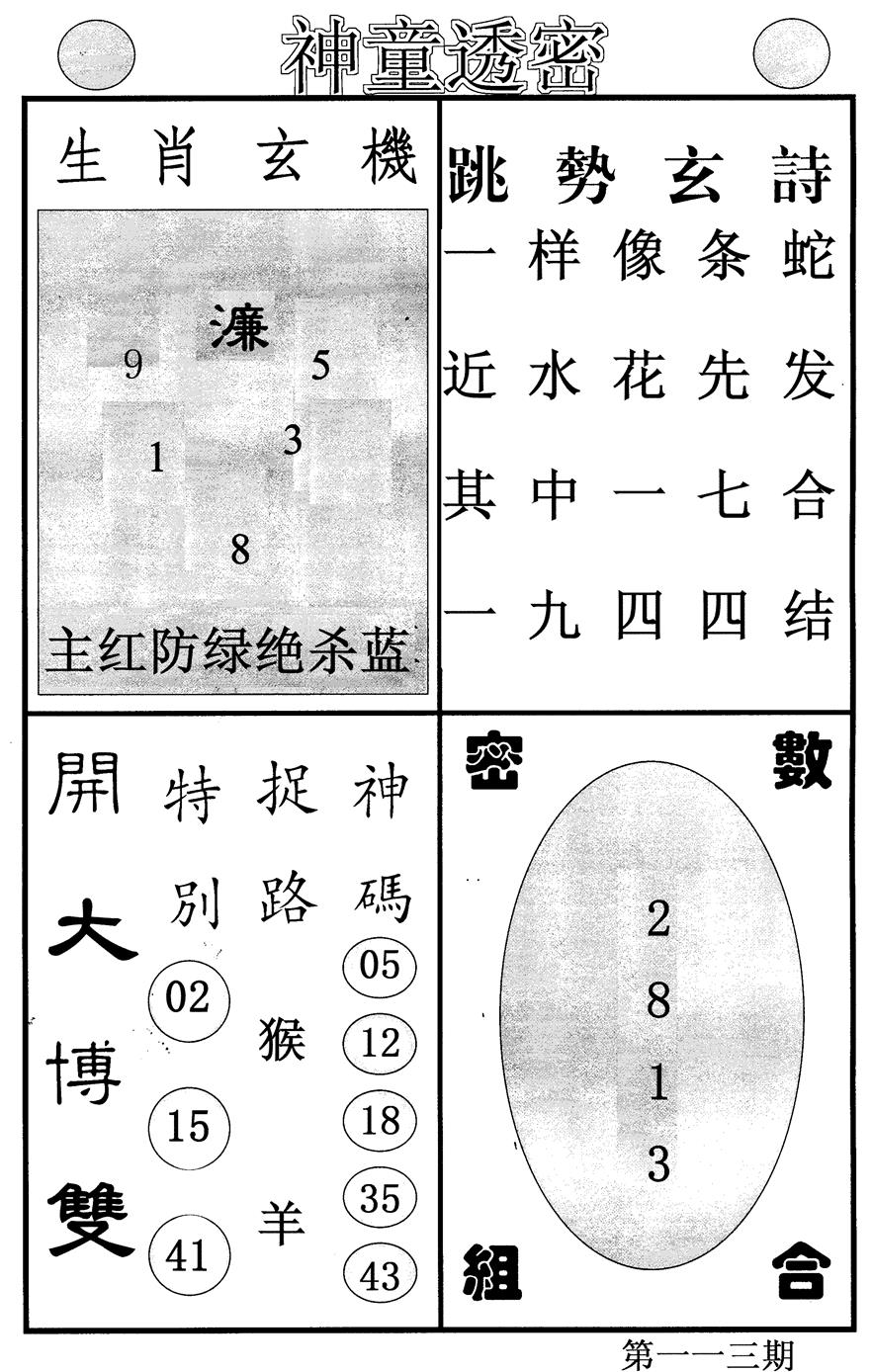 六合彩113期神童透密(黑白)