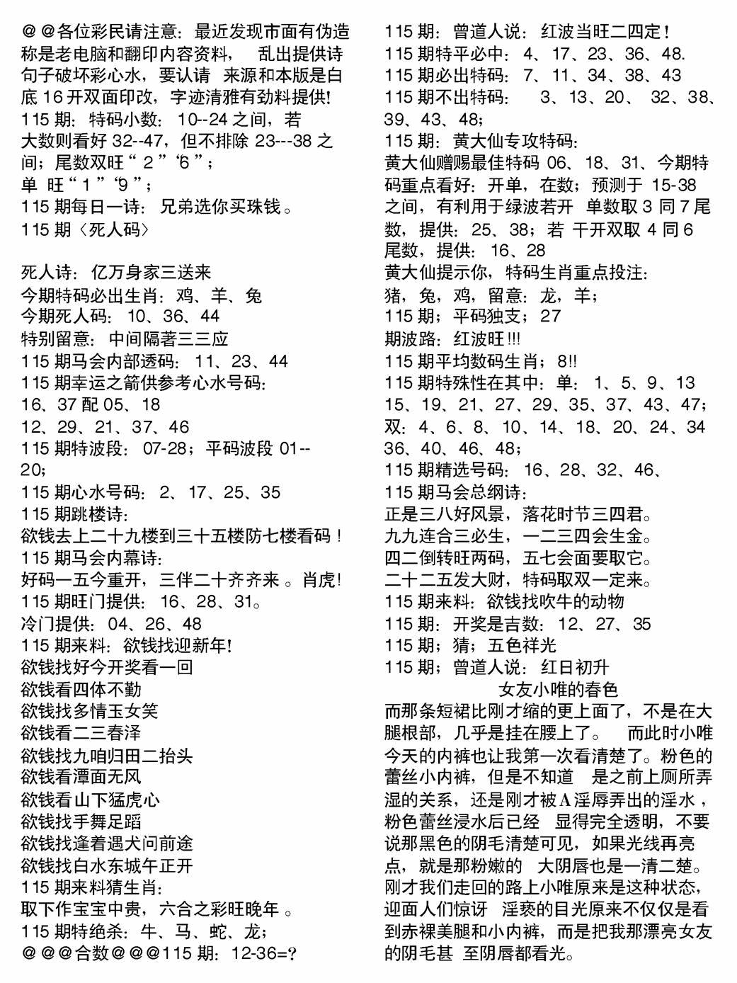 六合彩115期当日电脑综合资料B(黑白)