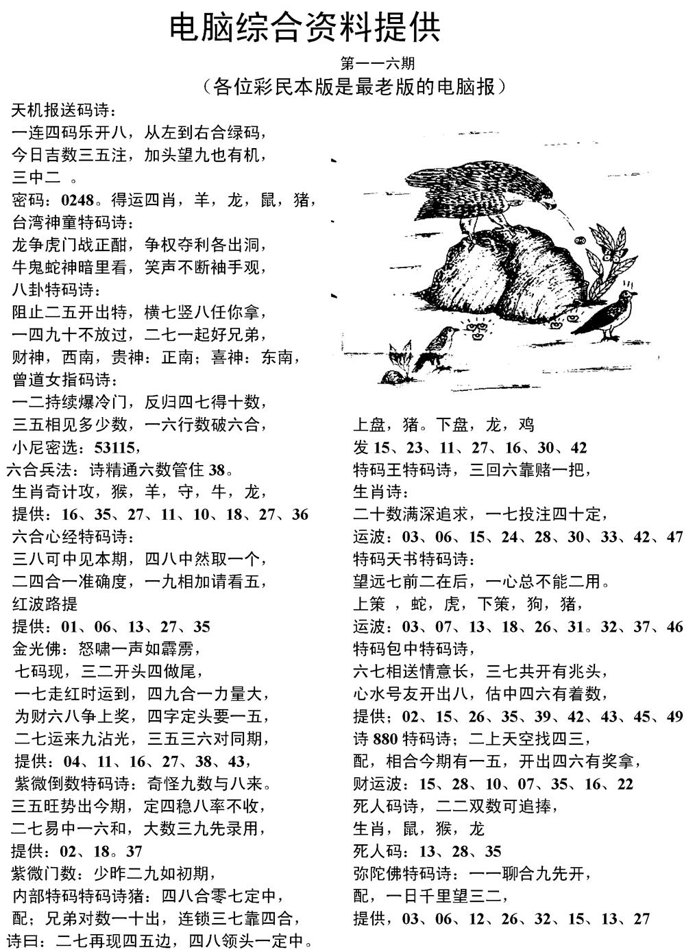 六合彩116期当日电脑综合资料C(黑白)