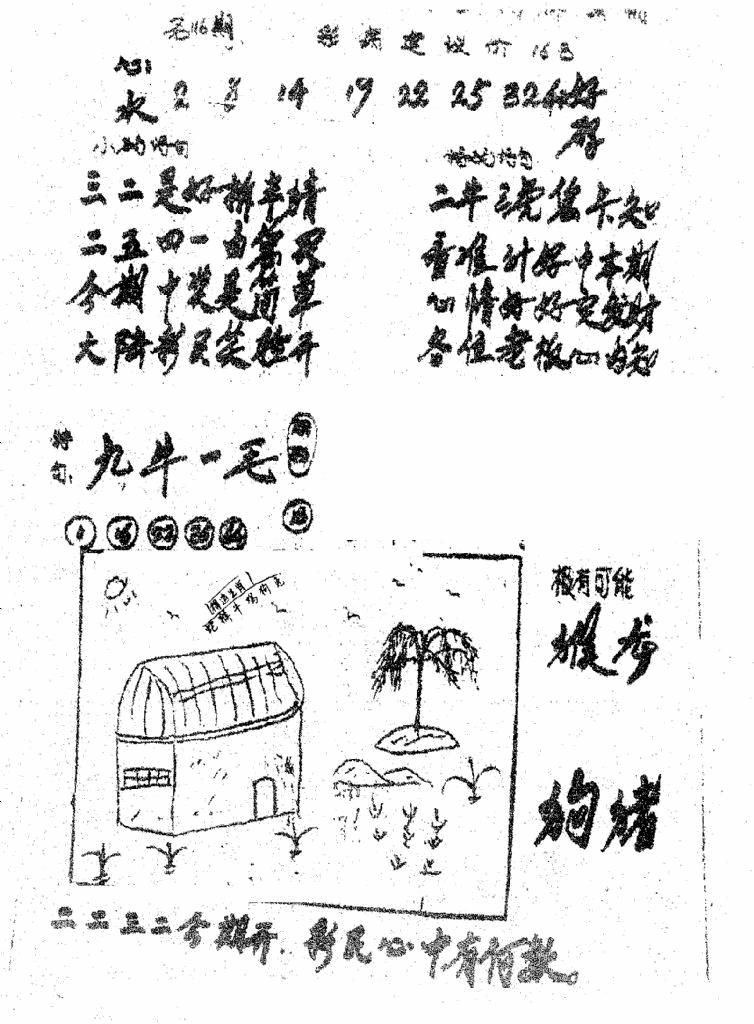六合彩116期香港九龙传真1(手写版)(黑白)