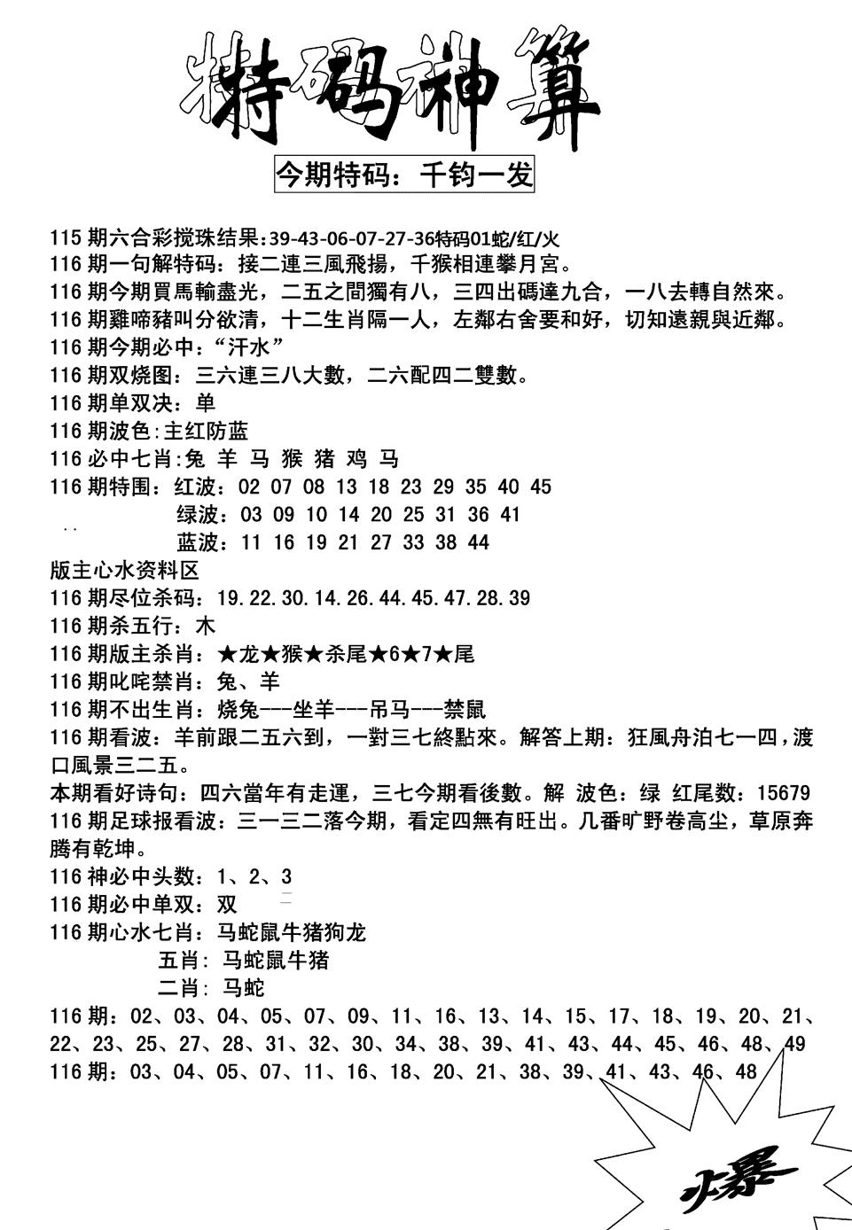 六合彩116期特码神算(新图)(黑白)