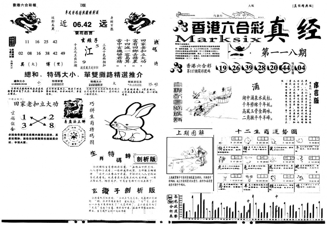 六合彩118期另真经A(黑白)