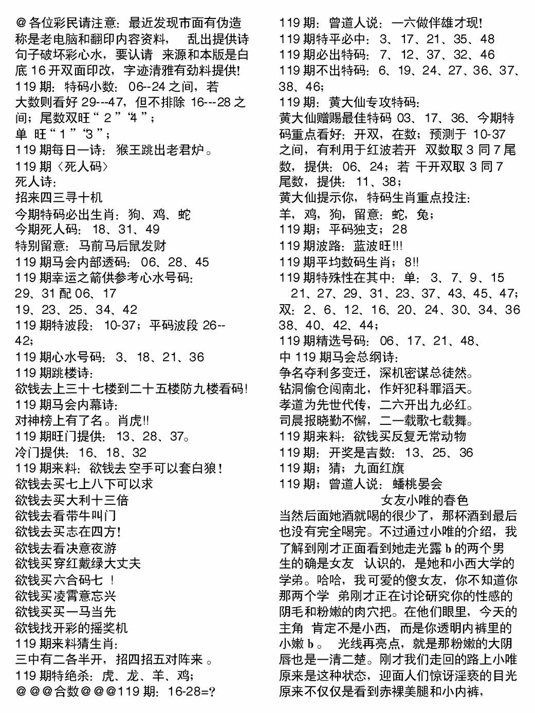 六合彩119期当日电脑综合资料B(黑白)