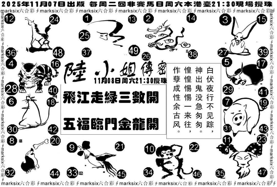 六合彩119期陆小姐传密B(黑白)