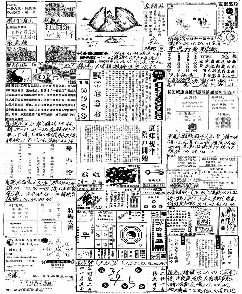 六合彩119期新版手写综合资料B(黑白)