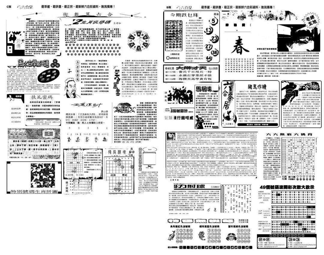 六合彩119期另版六合皇B(黑白)