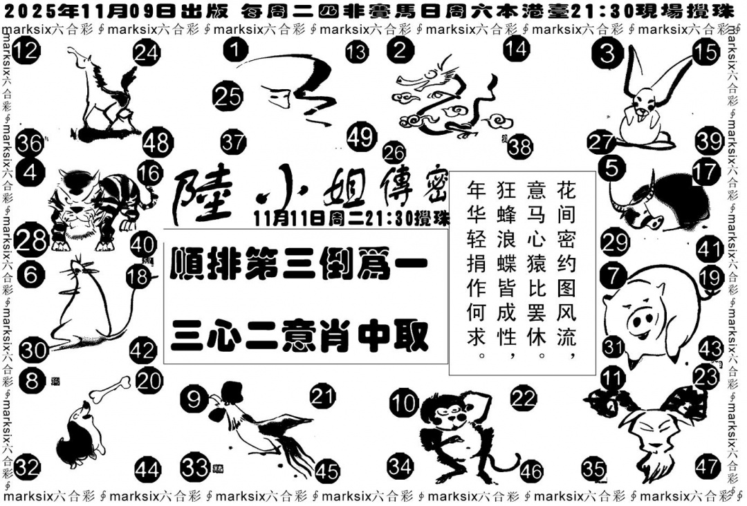 六合彩120期陆小姐传密B(黑白)