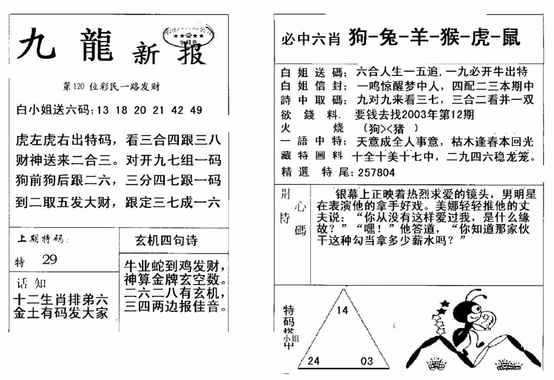 六合彩120期九龙新报(新)(黑白)