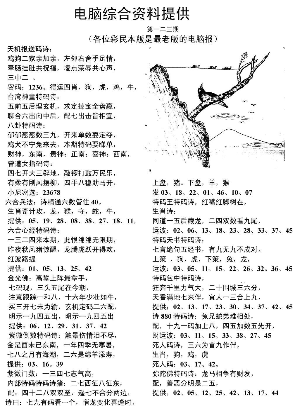 六合彩123期当日电脑综合资料C(黑白)