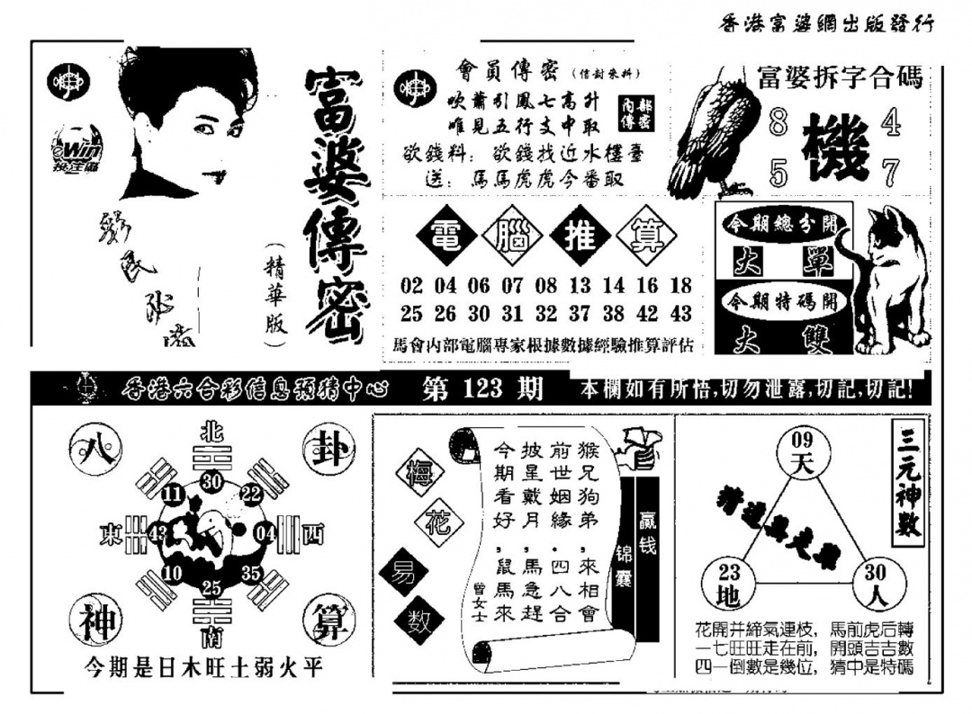 六合彩123期富婆传密(新料)(黑白)