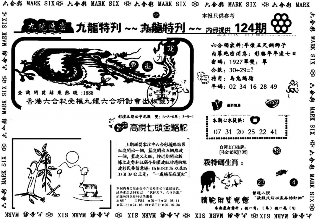 六合彩124期九龙特新刊(黑白)