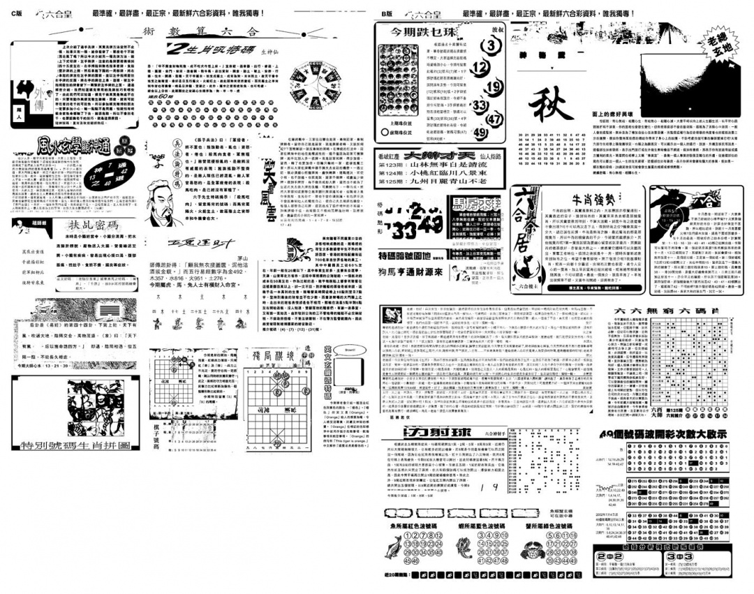 六合彩125期另版六合皇B(黑白)