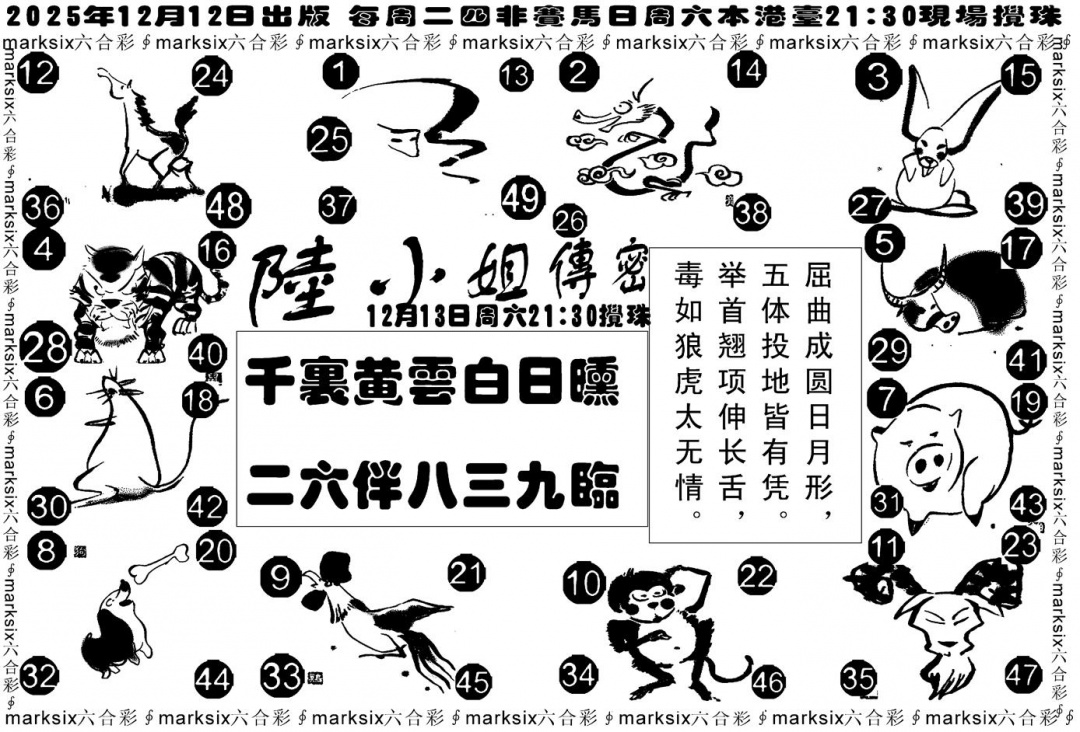 六合彩129期陆小姐传密B(黑白)