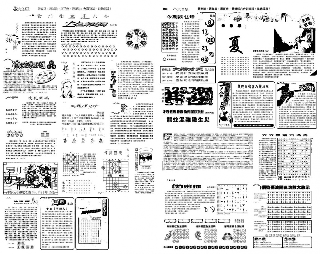 六合彩133期另版六合皇B(黑白)
