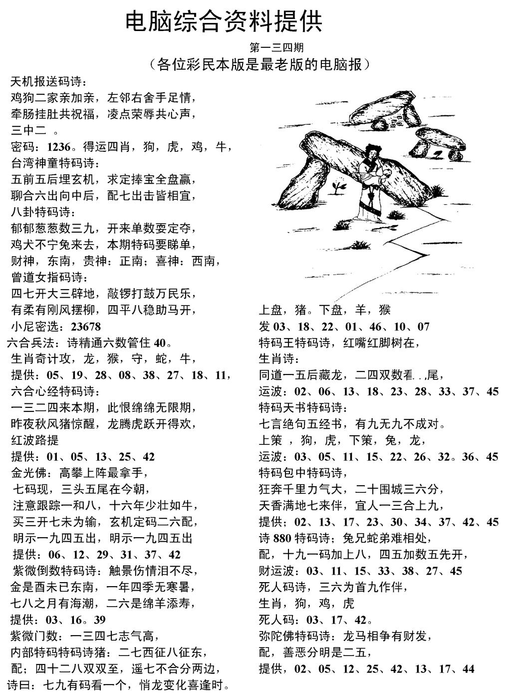 六合彩134期当日电脑综合资料C(黑白)