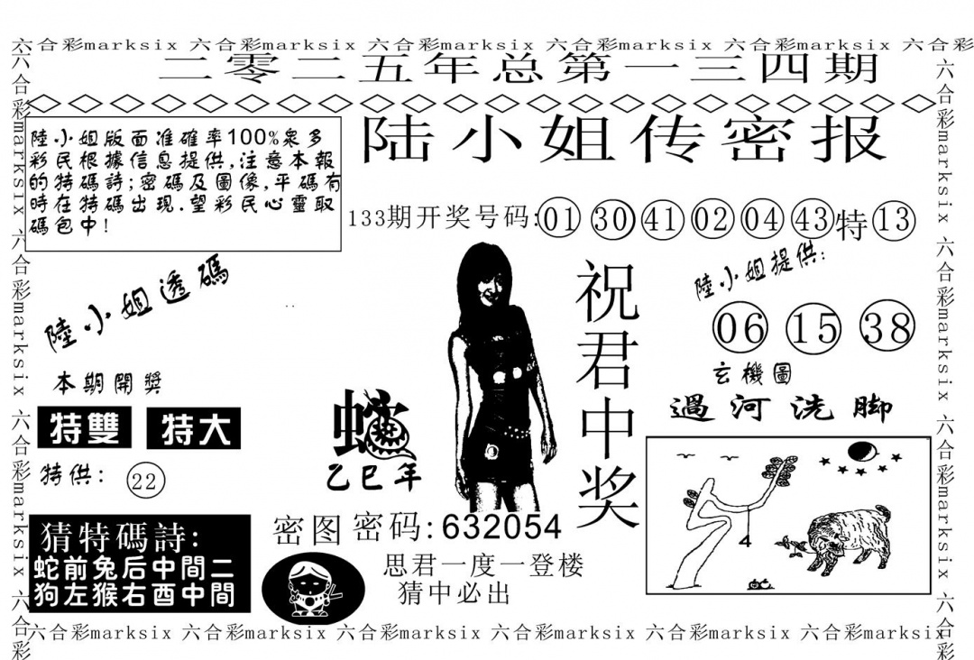 六合彩134期陆小姐传密A(黑白)
