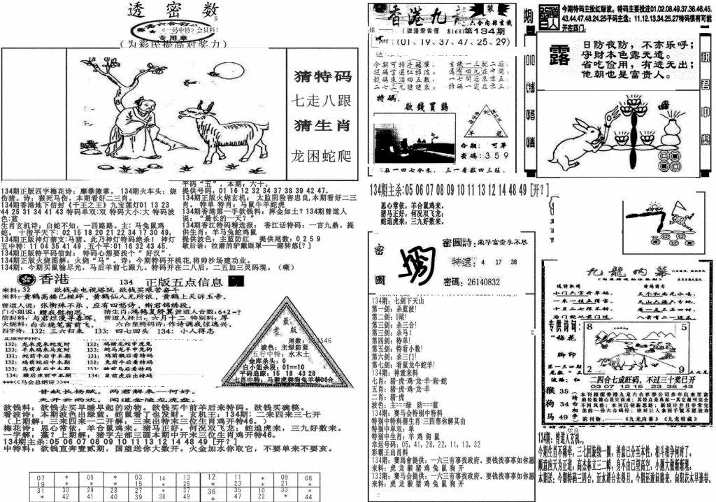 六合彩134期新透密数B(新)(黑白)