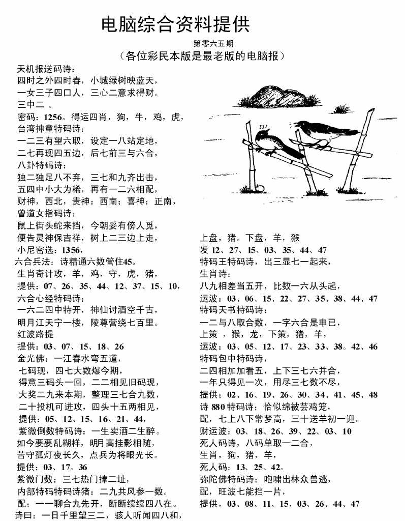 六合彩065期电脑综合资料A(黑白)