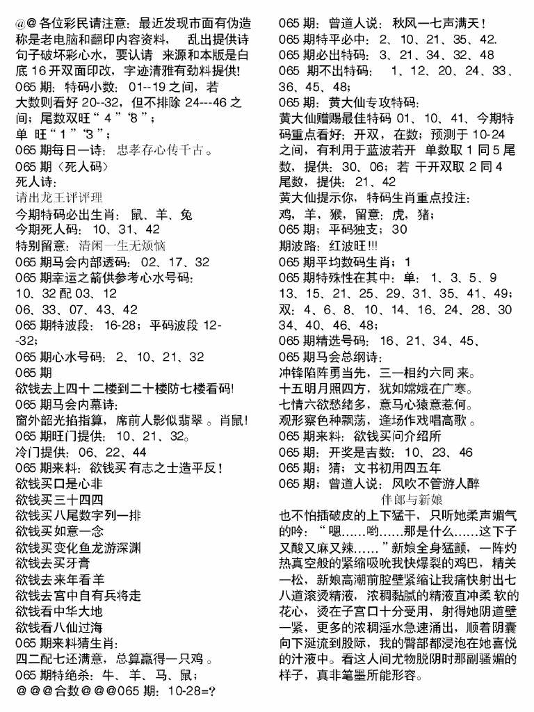 六合彩065期当日电脑综合资料B(黑白)