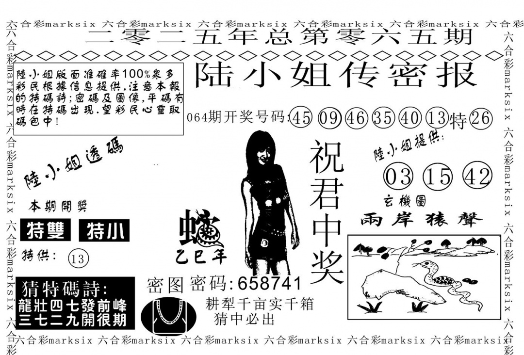 六合彩065期陆小姐传密A(黑白)
