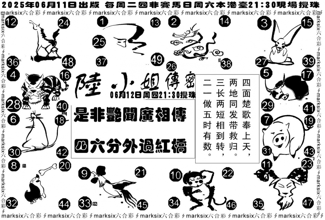 六合彩065期陆小姐传密B(黑白)