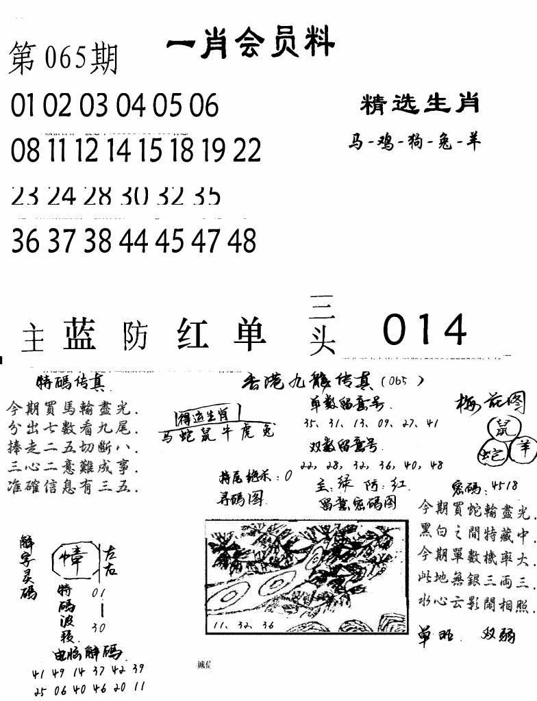 六合彩065期一肖会员料(黑白)