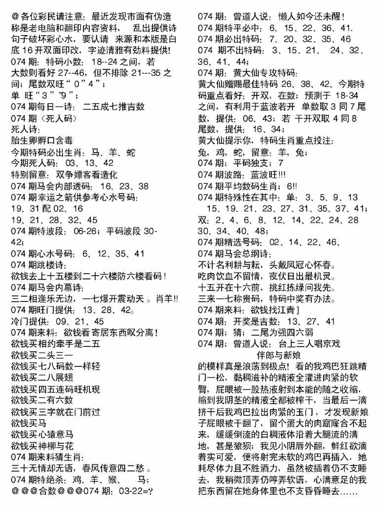 六合彩074期当日电脑综合资料B(黑白)