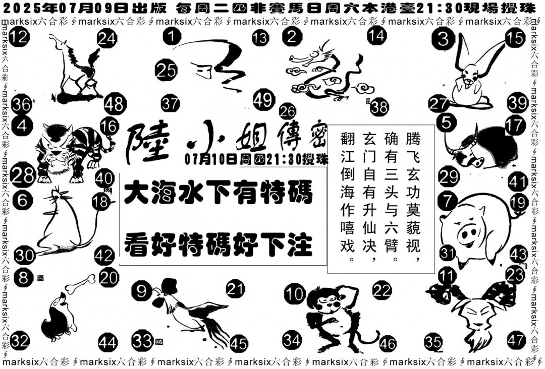 六合彩075期陆小姐传密B(黑白)