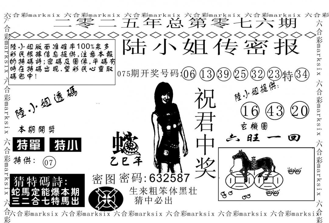 六合彩076期陆小姐传密A(黑白)