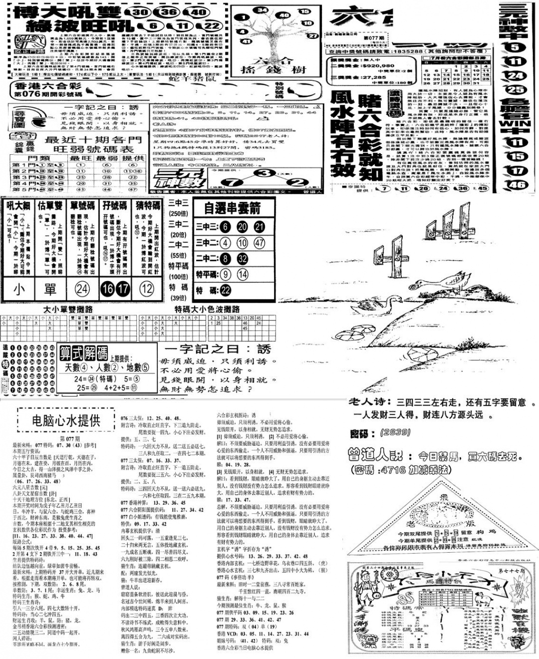 六合彩077期当日报-10(黑白)