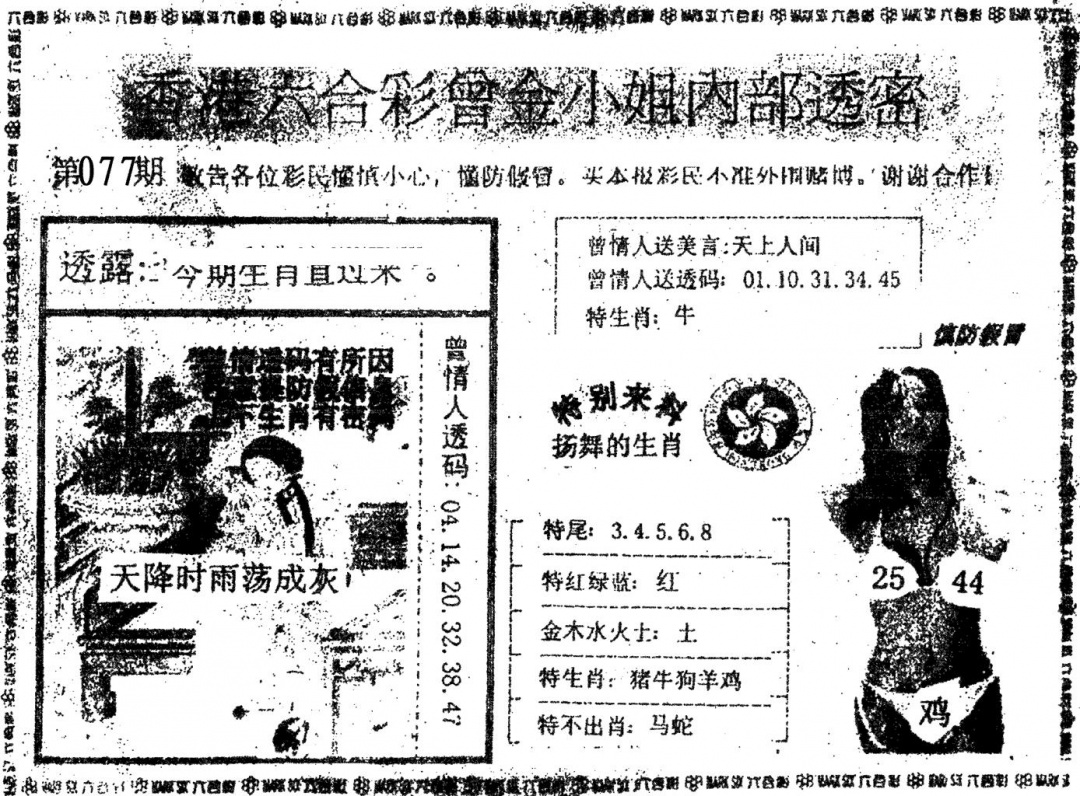 六合彩077期曾金小姐A(黑白)